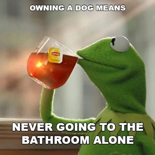 Kermit the Frog drinks tea humorously captioned about dogs never leaving you alone, even in the bathroom.