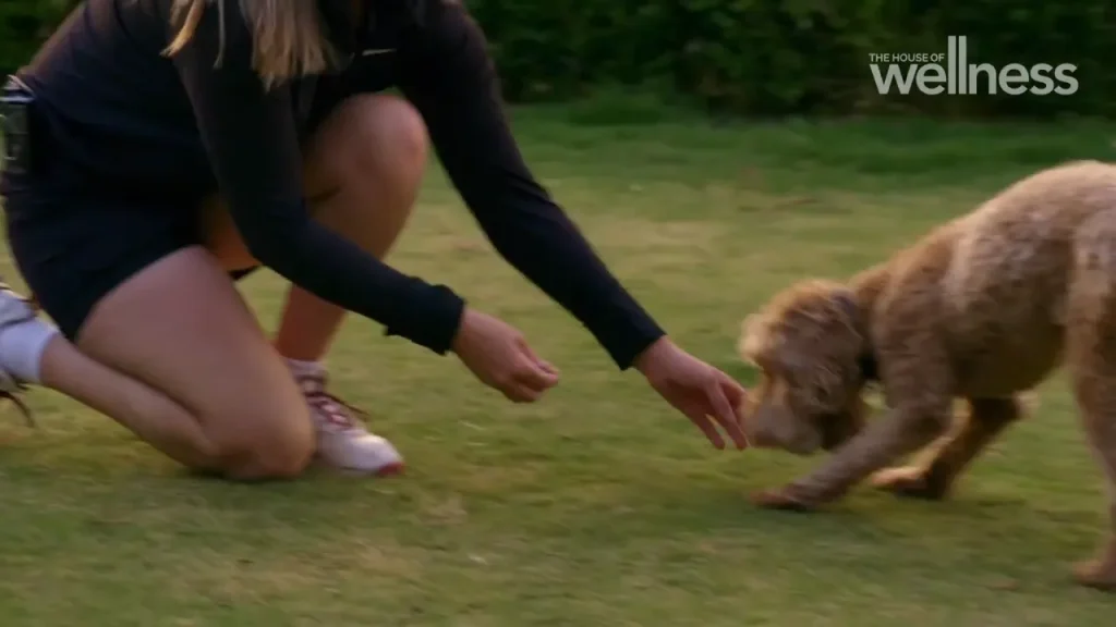 Person playing with a dog on green grass, promoting outdoor wellness and pet bonding.